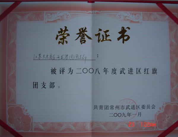 2008年紅旗團支部